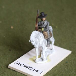 Confederate mounted rifles.