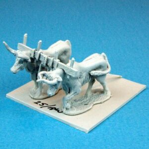 Pair of Oxen with Yoke.