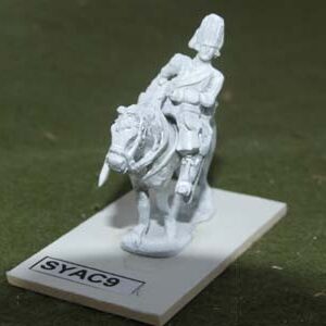 Horse Grenadier Trooper.